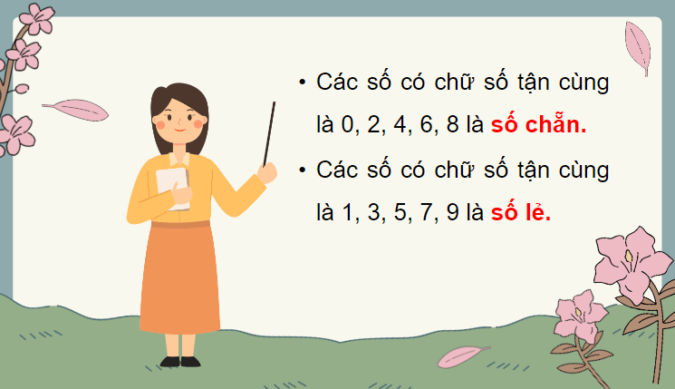 Giáo án điện tử Toán lớp 4 Bài 4: Số chẵn, số lẻ | PPT Toán lớp 4 Chân trời sáng tạo