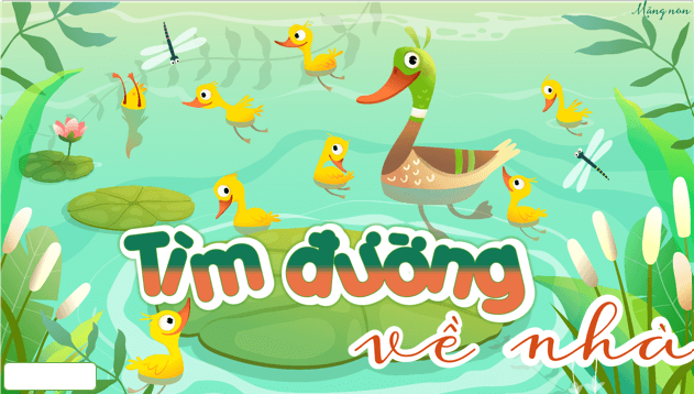 Giáo án điện tử Toán lớp 5 Bài 89: Em ôn lại những gì đã học | PPT Toán lớp 5 Cánh diều