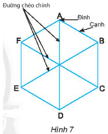 Giáo án Toán 6 Chân trời sáng tạo Bài 1: Hình vuông - Tam giác đều - Lục giác đều