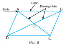 Giáo án Toán 6 Chân trời sáng tạo Bài 2: Hình chữ nhật - Hình thoi - Hình bình hành - Hình thang cân