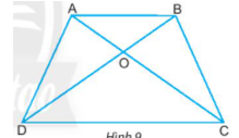 Giáo án Toán 6 Chân trời sáng tạo Bài 2: Hình chữ nhật - Hình thoi - Hình bình hành - Hình thang cân