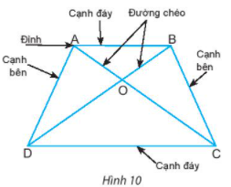 Giáo án Toán 6 Chân trời sáng tạo Bài 2: Hình chữ nhật - Hình thoi - Hình bình hành - Hình thang cân