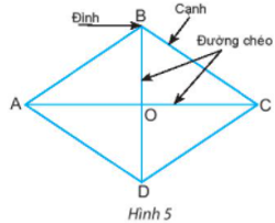 Giáo án Toán 6 Chân trời sáng tạo Bài 2: Hình chữ nhật - Hình thoi - Hình bình hành - Hình thang cân