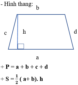 Giáo án Toán 6 Chân trời sáng tạo Bài 3: Chu vi và diện tích của một số hình trong thực tiễn