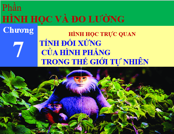 Giáo án điện tử Toán 6 Bài 1: Hình có trục đối xứng | PPT Toán 6 Chân trời sáng tạo