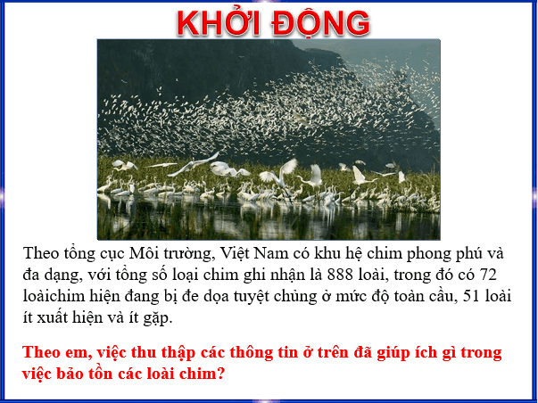 Giáo án điện tử Toán 6 Bài 1: Thu thập và phân loại dữ liệu | PPT Toán 6 Chân trời sáng tạo