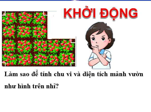 Giáo án điện tử Toán 6 Bài 3: Chu vi và diện tích của một số hình trong thực tiễn | PPT Toán 6 Chân trời sáng tạo