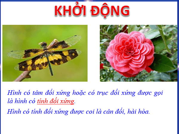 Giáo án điện tử Toán 6 Bài 3: Vai trò của tính đối xứng trong thế giới tự nhiên | PPT Toán 6 Chân trời sáng tạo