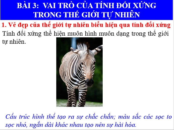 Giáo án điện tử Toán 6 Bài 3: Vai trò của tính đối xứng trong thế giới tự nhiên | PPT Toán 6 Chân trời sáng tạo