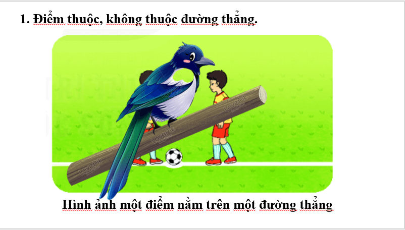 Giáo án điện tử Toán 6 Bài 32: Điểm và đường thẳng | PPT Toán 6 Kết nối tri thức