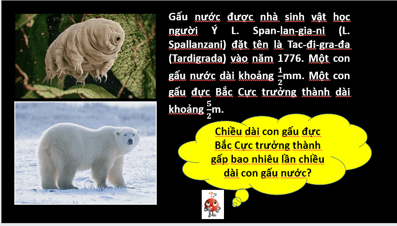 Giáo án điện tử Toán 6 Cánh diều Bài 4: Phép nhân, phép chia phân số | PPT Toán 6