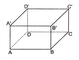 Giáo án Toán 7 Kết nối tri thức Luyện tập trang 93 Tập 2