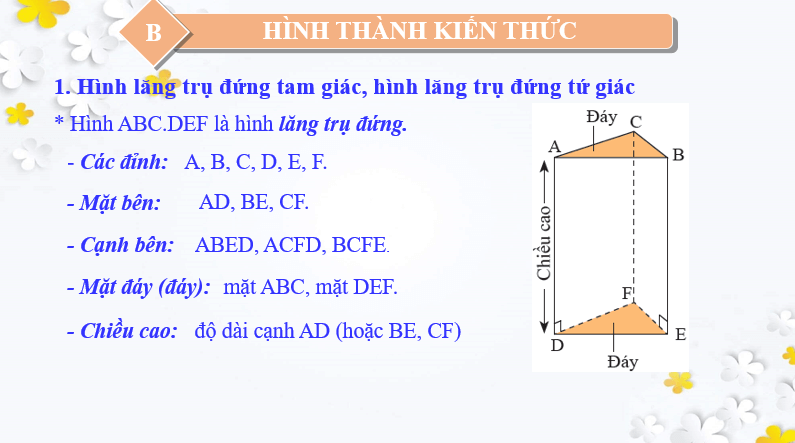 Giáo án điện tử Toán 7 Bài 3: Hình lăng trụ đứng tam giác - Hình lăng trụ đứng tứ giác | PPT Toán 7 Chân trời sáng tạo