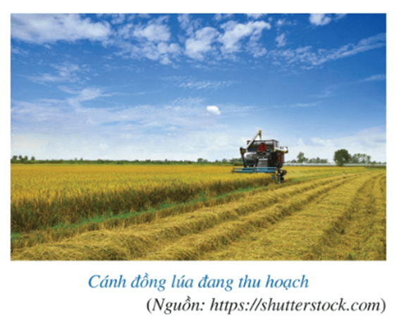 Giáo án Toán 8 Cánh diều Bài 3: Hàm số bậc nhất y = ax + b (a ≠ 0)