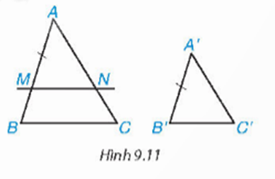 Giáo án Toán 8 Kết nối tri thức Bài 34: Ba trường hợp đồng dạng của hai tam giác
