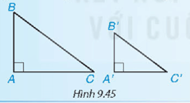 Giáo án Toán 8 Kết nối tri thức Bài 36: Các trường hợp đồng dạng của hai tam giác vuông