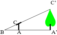 Giáo án Toán 8 Bài 9: Ứng dụng thực tế của tam giác đồng dạng mới nhất