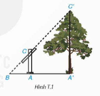 Giáo án Toán 8 Kết nối tri thức Ứng dụng định lí Thalès, định lí Pythagore và tam giác đồng dạng để đo chiều cao, khoảng cách