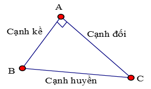 Giáo án Toán 9 Bài 2: Tỉ số lượng giác của góc nhọn mới nhất