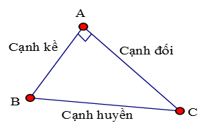 Giáo án Toán 9 Bài 2: Tỉ số lượng giác của góc nhọn mới nhất