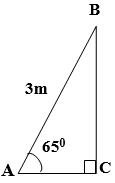 Giáo án Toán 9 Bài 4: Một số hệ thức về cạnh và góc trong tam giác vuông mới nhất