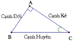 Giáo án Toán 9 Ôn tập chương 1 Hình học mới nhất