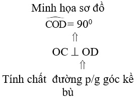 Giáo án Toán 9 Luyện tập trang 116 mới nhất