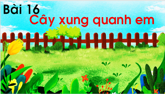 Giáo án điện tử TNXH lớp 1 Chân trời sáng tạo Bài 16: Cây xung quanh em | PPT Tự nhiên và xã hội lớp 1