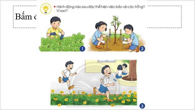 Giáo án điện tử TNXH lớp 1 Chân trời sáng tạo Bài 17: Em chăm sóc và bảo vệ cây trồng | PPT Tự nhiên và xã hội lớp 1