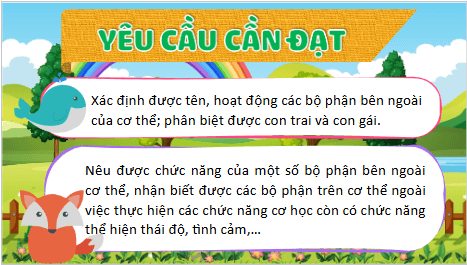 Giáo án điện tử TNXH lớp 1 Kết nối tri thức Bài 20: Cơ thể em | PPT Tự nhiên và xã hội lớp 1