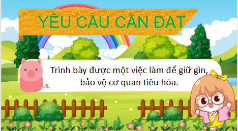 Giáo án điện tử TNXH lớp 1 Kết nối tri thức Bài 20: Cơ thể em | PPT Tự nhiên và xã hội lớp 1