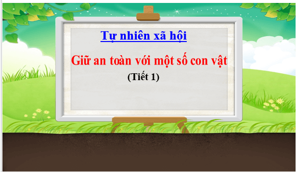 Giáo án điện tử TNXH lớp 1 Chân trời sáng tạo Bài 20: Giữ an toàn với một số con vật | PPT Tự nhiên và xã hội lớp 1
