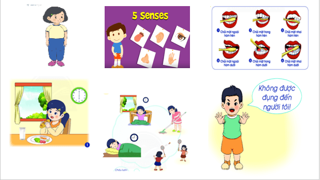 Giáo án điện tử TNXH lớp 1 Chân trời sáng tạo Bài 28: Ôn tập chủ đề Con người và sức khỏe | PPT Tự nhiên và xã hội lớp 1