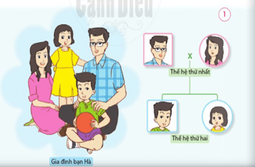 Giáo án Tự nhiên và xã hội lớp 2 Bài 1: Các thế hệ trong gia đình | Cánh diều