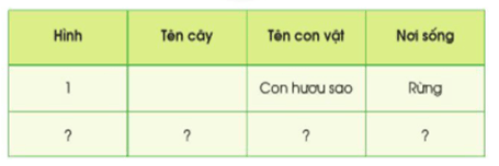 Giáo án Tự nhiên và xã hội lớp 2 Bài 11: Môi trường sống của thực vật và động vật | Cánh diều