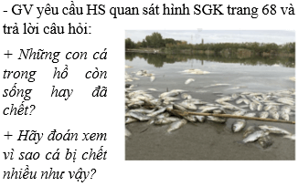 Giáo án Tự nhiên và xã hội lớp 2 Bài 12: Bảo vệ môi trường sống của thực vật và động vật | Cánh diều