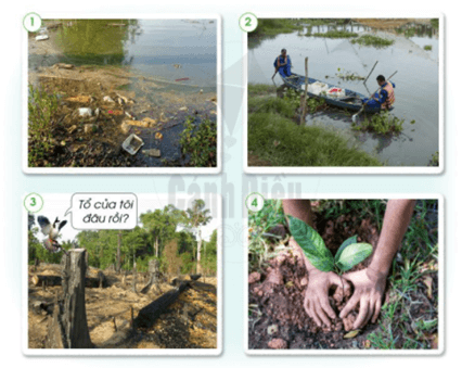 Giáo án Tự nhiên và xã hội lớp 2 Bài 12: Bảo vệ môi trường sống của thực vật và động vật | Cánh diều
