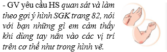 Giáo án Tự nhiên và xã hội lớp 2 Bài 14: Cơ quan vận động | Cánh diều