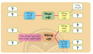 Giáo án Tự nhiên và xã hội lớp 2 Bài 18: Ôn tập chủ đề Thực vật và động vật | Chân trời sáng tạo