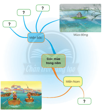 Giáo án Tự nhiên và xã hội lớp 2 Bài 29: Ôn tập chủ đề Trái đất và bầu trời | Chân trời sáng tạo