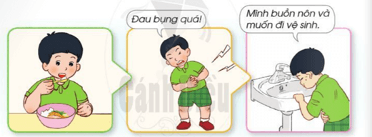 Giáo án Tự nhiên và xã hội lớp 2 Bài 3: Phòng tránh ngộ độc khi ở nhà | Cánh diều