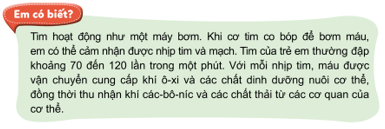 Giáo án Tự nhiên và xã hội lớp 3 Bài 16: Cơ quan tuần hoàn | Cánh diều