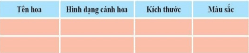 Giáo án Tự nhiên và xã hội lớp 3 Bài 16: Hoa và quả | Chân trời sáng tạo (ảnh 3)