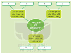 Giáo án Tự nhiên và xã hội lớp 3 Bài 17: Ôn tập chủ đề thực vật và động vật | Kết nối tri thức