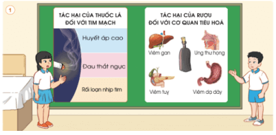 Giáo án Tự nhiên và xã hội lớp 3 Bài 19: Một số chất có hại đối với các cơ quan tiêu hóa, tuần hoàn, thần kinh | Cánh diều