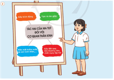 Giáo án Tự nhiên và xã hội lớp 3 Bài 19: Một số chất có hại đối với các cơ quan tiêu hóa, tuần hoàn, thần kinh | Cánh diều