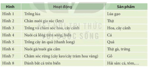 Giáo án Tự nhiên và xã hội lớp 3 Bài 9: Hoạt động sản xuất nông nghiệp | Kết nối tri thức