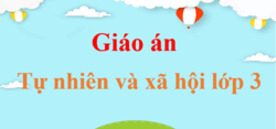 Giáo án Tự nhiên và xã hội lớp 3 (mới, chuẩn nhất) | Bài giảng điện tử Tự nhiên và xã hội lớp 3