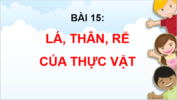 Giáo án điện tử TNXH lớp 3 Chân trời sáng tạo Bài 15: Lá, thân, rễ của thực vật | PPT Tự nhiên và xã hội lớp 3