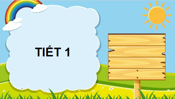 Giáo án điện tử TNXH lớp 3 Chân trời sáng tạo Bài 15: Lá, thân, rễ của thực vật | PPT Tự nhiên và xã hội lớp 3